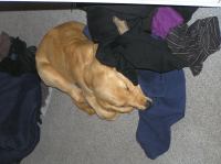 P8100015.JPG - 2005:08:10 10:27:44