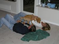 P8100017.JPG - 2005:08:10 20:05:07