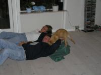 P8100019.JPG - 2005:08:10 20:05:22