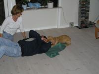 P8100020.JPG - 2005:08:10 20:05:27