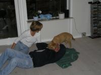 P8100021.JPG - 2005:08:10 20:05:38