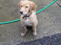 P8110024.JPG - 2005:08:11 10:10:20