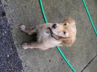 P8110025.JPG - 2005:08:11 10:10:22