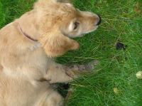 P8110026.JPG - 2005:08:11 10:10:35