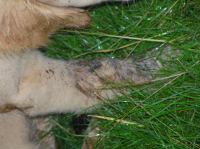 P8110027.JPG - 2005:08:11 10:10:40