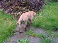 P8110028.JPG - 2005:08:11 10:10:45