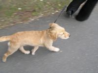 P8130031.JPG - 2005:08:13 12:09:09