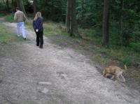 P8130032.JPG - 2005:08:13 12:09:55