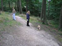 P8130033.JPG - 2005:08:13 12:09:57