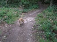 P8130035.JPG - 2005:08:13 12:10:18