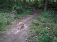 P8130036.JPG - 2005:08:13 12:10:19