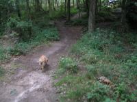 P8130037.JPG - 2005:08:13 12:10:20