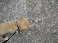 P8130048.JPG - 2005:08:13 12:26:09