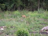 P8130053.JPG - 2005:08:13 12:53:30