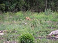 P8130054.JPG - 2005:08:13 12:53:31