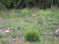 P8130055.JPG - 2005:08:13 12:53:31