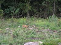 P8130056.JPG - 2005:08:13 12:53:50