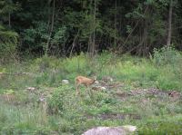 P8130057.JPG - 2005:08:13 12:53:51