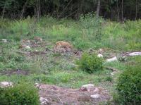 P8130059.JPG - 2005:08:13 12:54:05