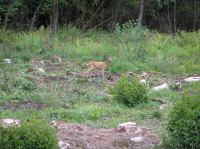 P8130060.JPG - 2005:08:13 12:54:14