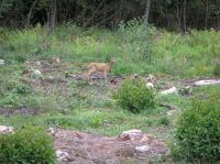 P8130061.JPG - 2005:08:13 12:54:15