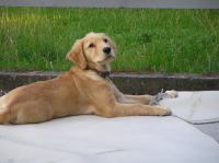 P8140063.JPG - 2005:08:14 19:27:50