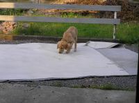 P8140064.JPG - 2005:08:14 19:28:00