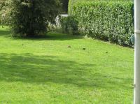 P8150069.JPG - 2005:08:15 13:56:40