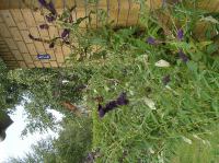 P8150080.JPG - 2005:08:15 13:58:29