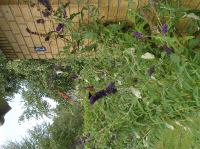 P8150081.JPG - 2005:08:15 13:58:29