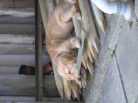 P8160091.JPG - 2005:08:16 06:47:58