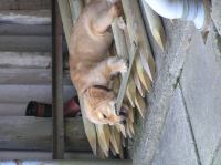 P8160092.JPG - 2005:08:16 06:47:59