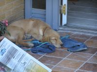 P8170103.JPG - 2005:08:17 13:12:16