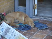 P8170104.JPG - 2005:08:17 13:12:17