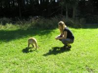 P8170117.JPG - 2005:08:17 15:02:33