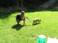 P8170118.JPG - 2005:08:17 15:02:47