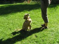 P8170119.JPG - 2005:08:17 15:03:22