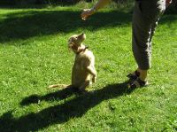 P8170120.JPG - 2005:08:17 15:03:26