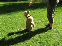 P8170121.JPG - 2005:08:17 15:03:27