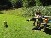 P8170125.JPG - 2005:08:17 15:05:19