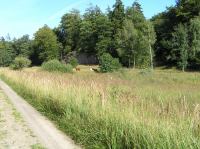 P8170128.JPG - 2005:08:17 16:03:48