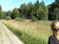 P8170129.JPG - 2005:08:17 16:03:49