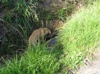 P8170132.JPG - 2005:08:17 16:09:58