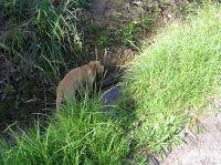 P8170133.JPG - 2005:08:17 16:10:00