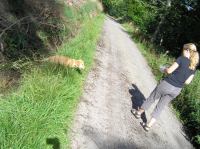 P8170134.JPG - 2005:08:17 16:10:15