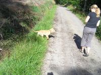 P8170135.JPG - 2005:08:17 16:10:16