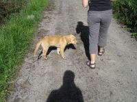 P8170136.JPG - 2005:08:17 16:10:19