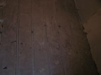 P8220003.JPG - 2005:08:22 20:10:23