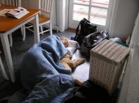 P8220180.JPG - 2005:08:22 09:39:53