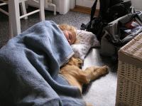 P8220182.JPG - 2005:08:22 09:39:58